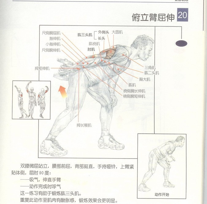 未命名.jpg6.jpg
