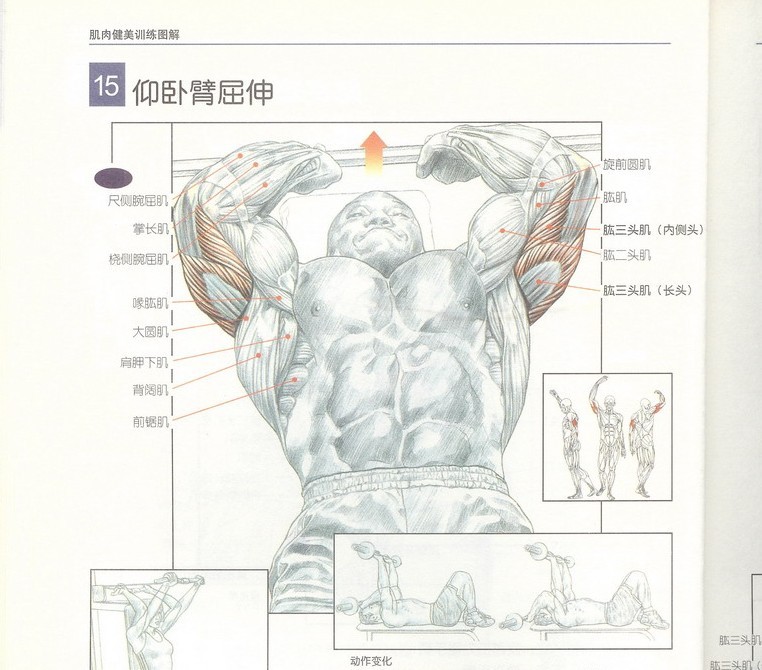 未命名.jpg2.jpg