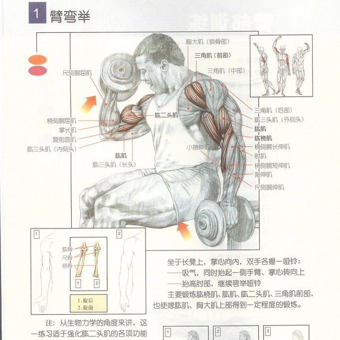未命名.jpg3.jpg