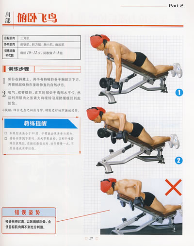 俯卧飞鸟.jpg