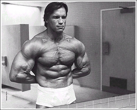 weider001.jpg