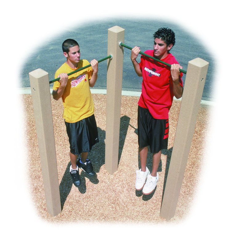 Pull-UpBars_lrg.jpg