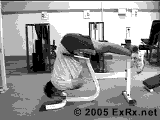11.gif