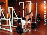 13.gif