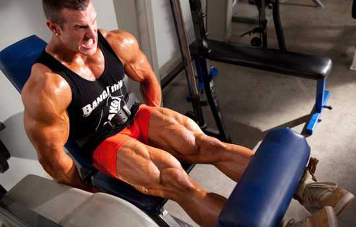 Antoine Vaillant04.jpg
