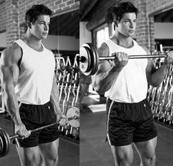 biceps-01.gif