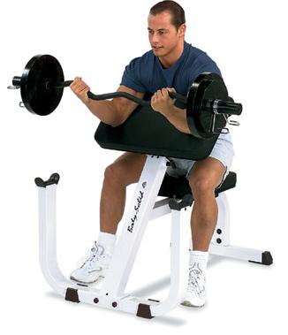 biceps-03.jpg