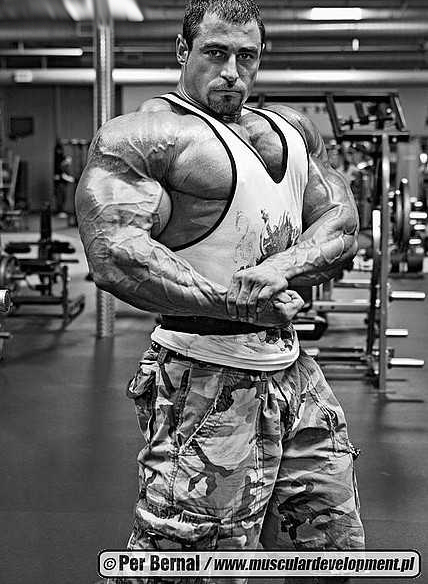 Mark Alvisi (1).jpg
