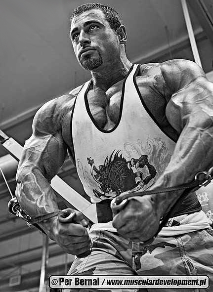 Mark Alvisi (6).jpg