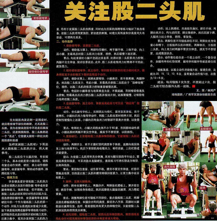 股二头肌.jpg