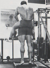 donkey-calf-raises.jpg