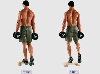 standing_calve_raise.jpg