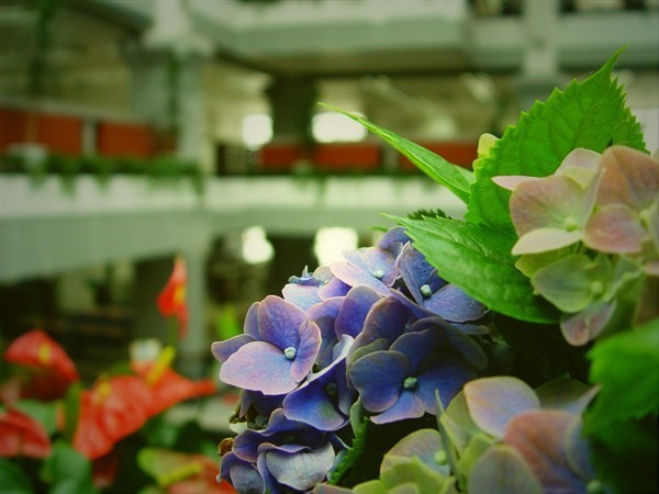 p_large_1kO3_74a00000e07b2d0b.jpg