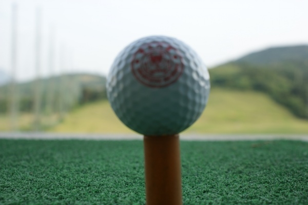 p_large_CIQt_1564000800342d10.jpg