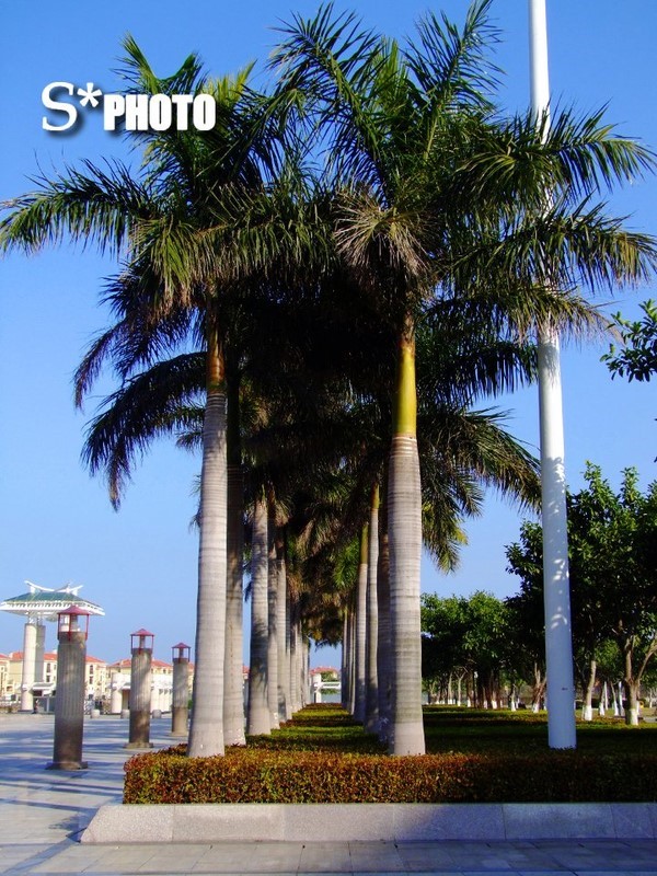 p_large_Gb9w_083b00000ec82d0e.jpg