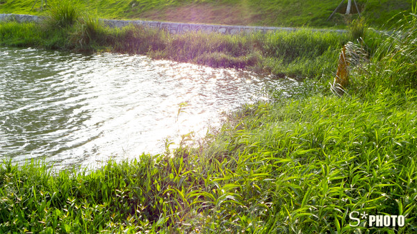 p_large_qBwr_41c90000049b2d0e.jpg