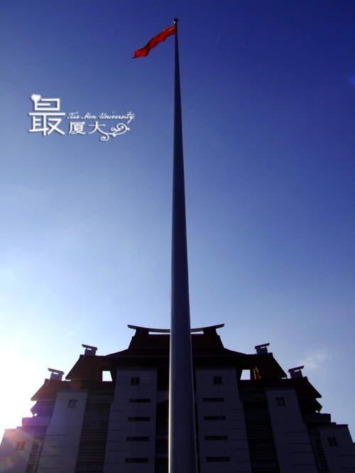 p_large_rDOU_5d140001b8da5c3f.jpg