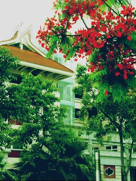 p_large_wUfn_34590001cfa02d14.jpg
