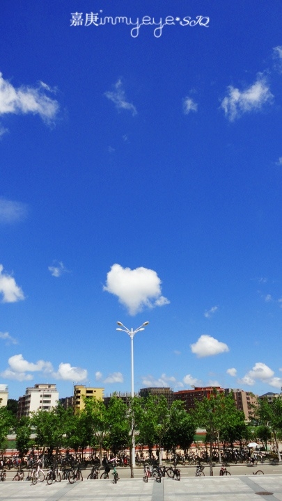 p_large_ZzPt_76f400043fc42d12.jpg