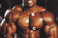 ABCD.jpg