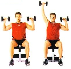 Seated_Alternating_Dumbbell_Press.jpg
