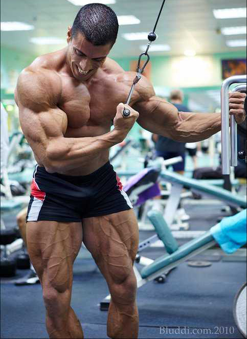 Maor Zaradez.jpg