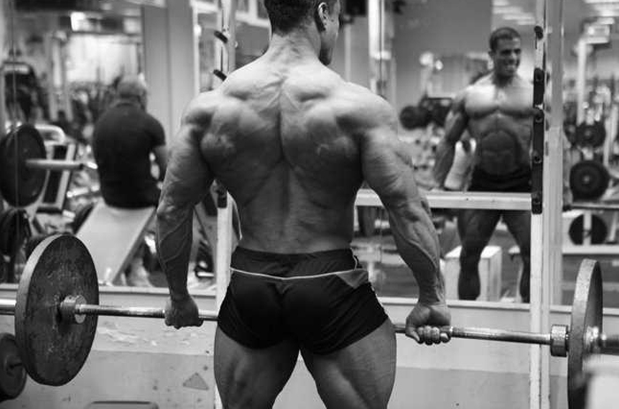Maor Zaradez (2).jpg