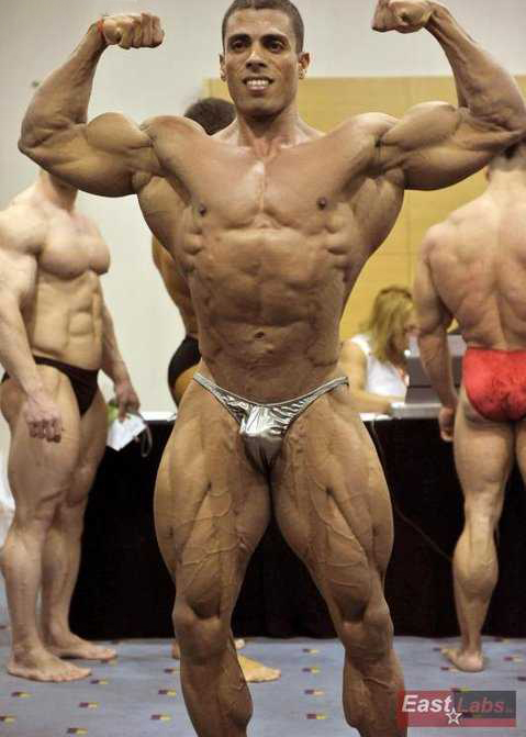 Maor Zaradez (3).jpg