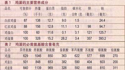 鸡蛋.jpg
