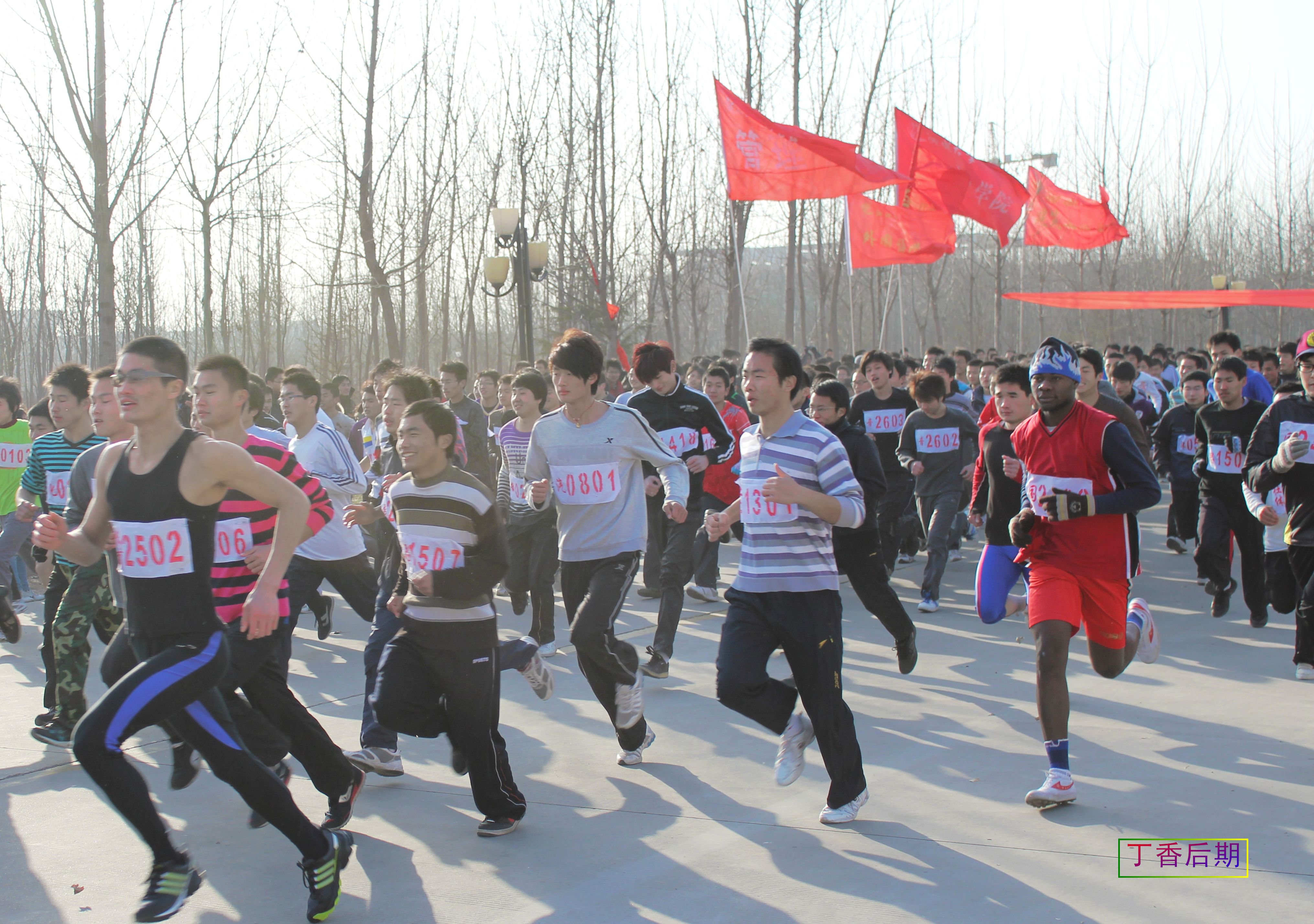 20115444.jpg