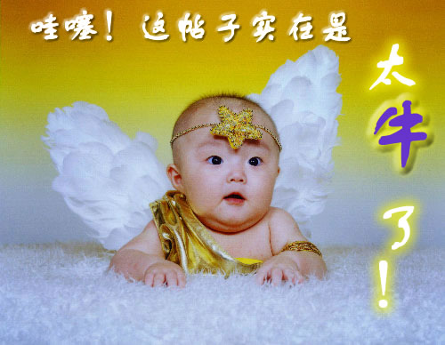 20080503_bdf95fc4d8516d0e04ab7wVDoGZNMkj3.jpg