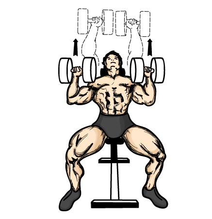 Incline Dumbbell Bench Press.jpg