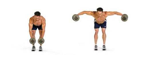 Bent Over Lateral Raise.jpg