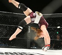 20101128101437_rinnakai.jpg