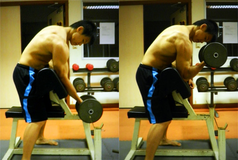 fabodylous-db-preacher-curls.jpg