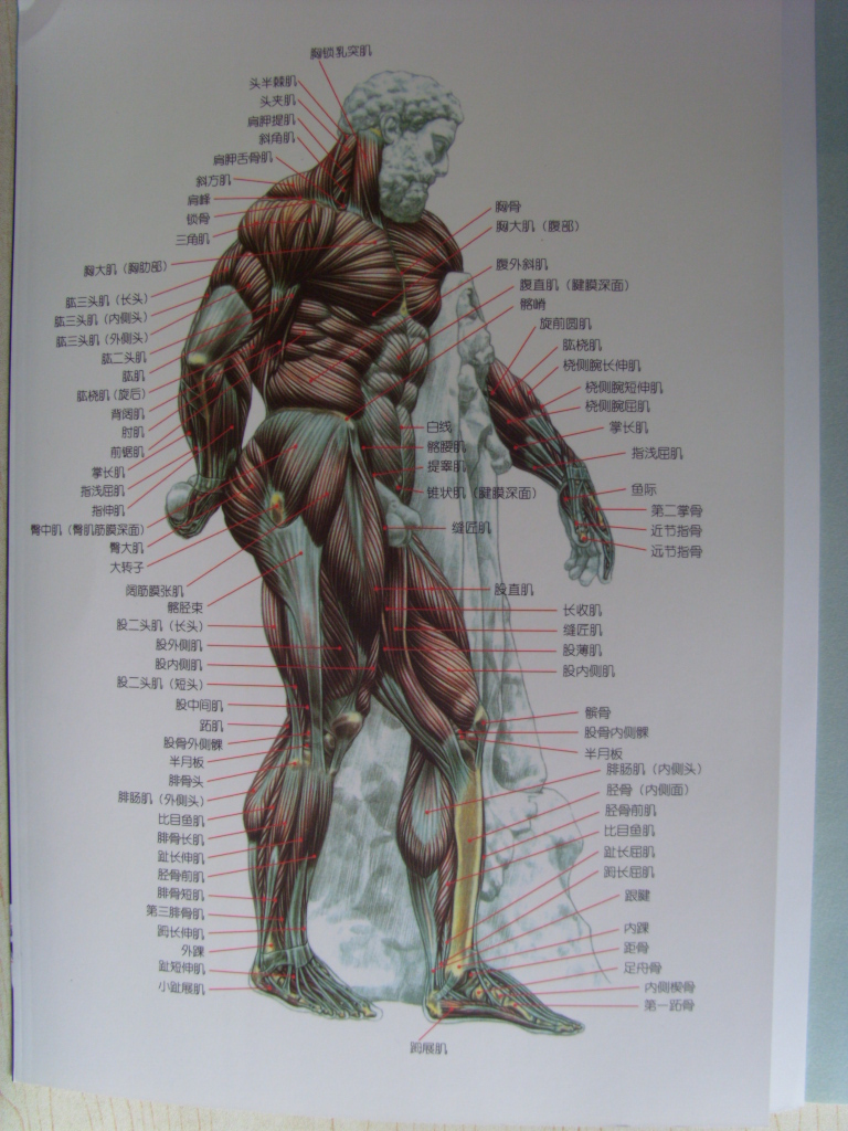 SI850001.JPG