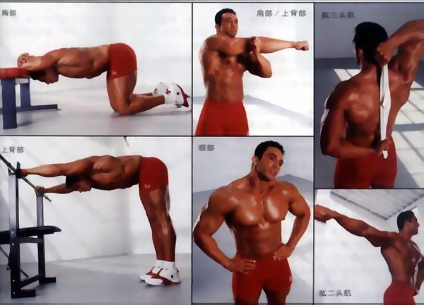上半身.jpg