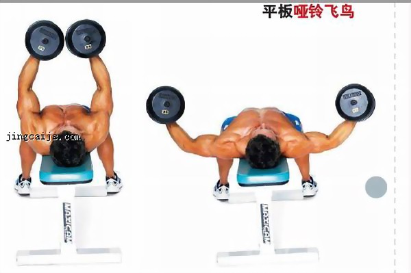 飞鸟.jpg