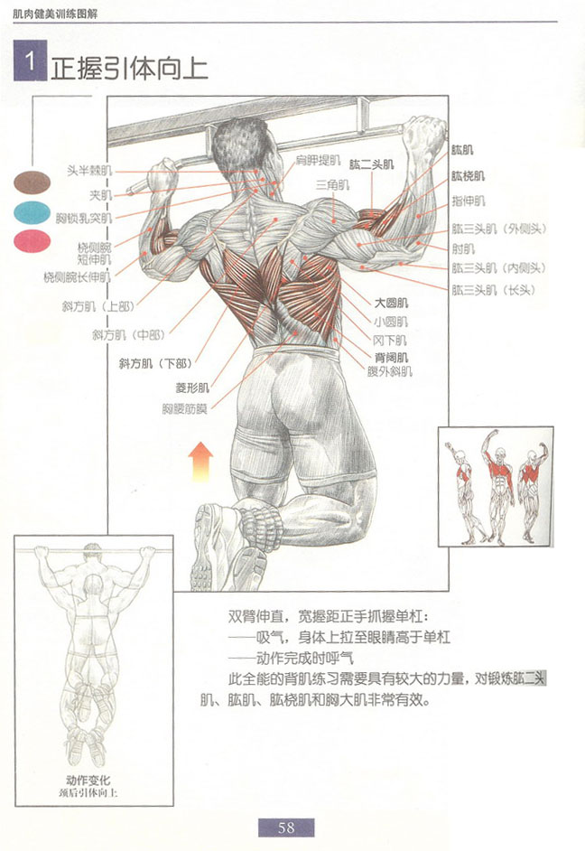 正握.jpg