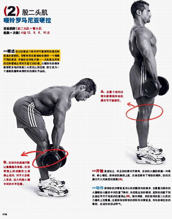哑铃罗马尼亚硬拉.jpg