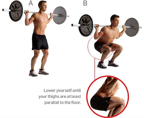 Lift the barbell squat.jpg