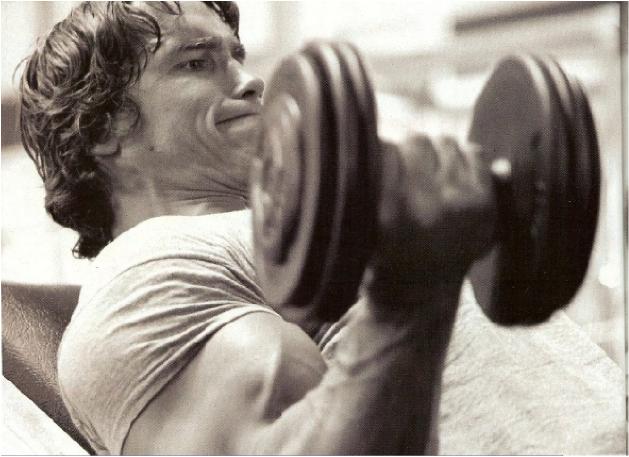 Flat bench flies.jpg