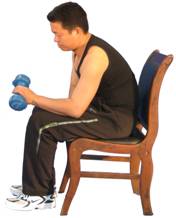 正握腕弯举.jpg