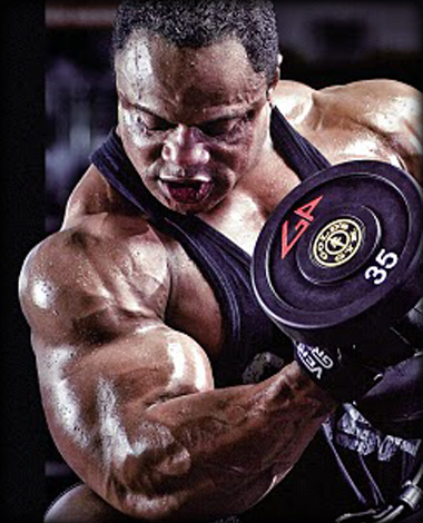 mindmuscle.jpg