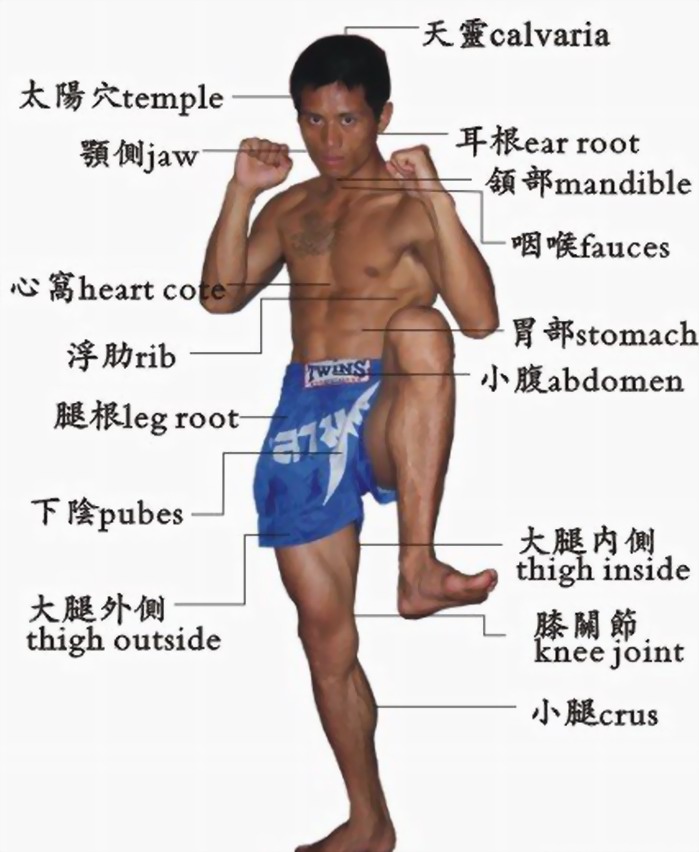 泰拳.jpg