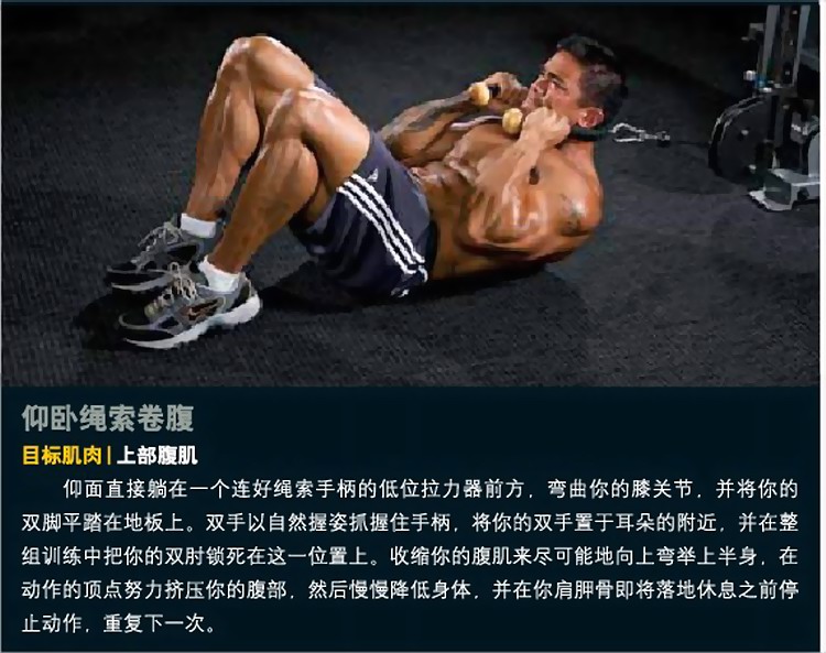 仰卧绳索卷腹.jpg