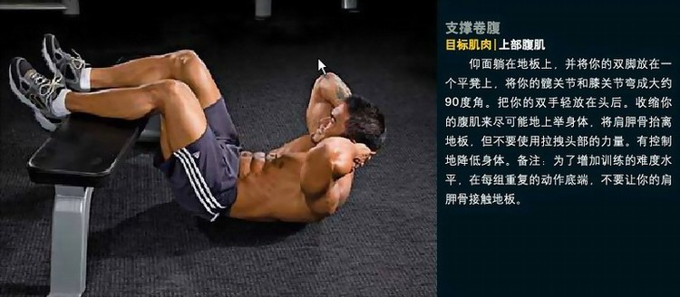 支撑卷腹.jpg
