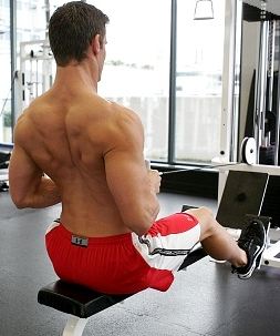 seated cable row.jpg
