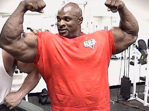 Body Builder.jpg
