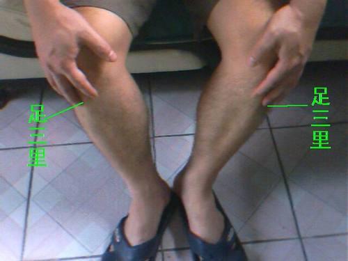 足三里.jpg